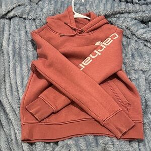 carhartt hoodie in pink